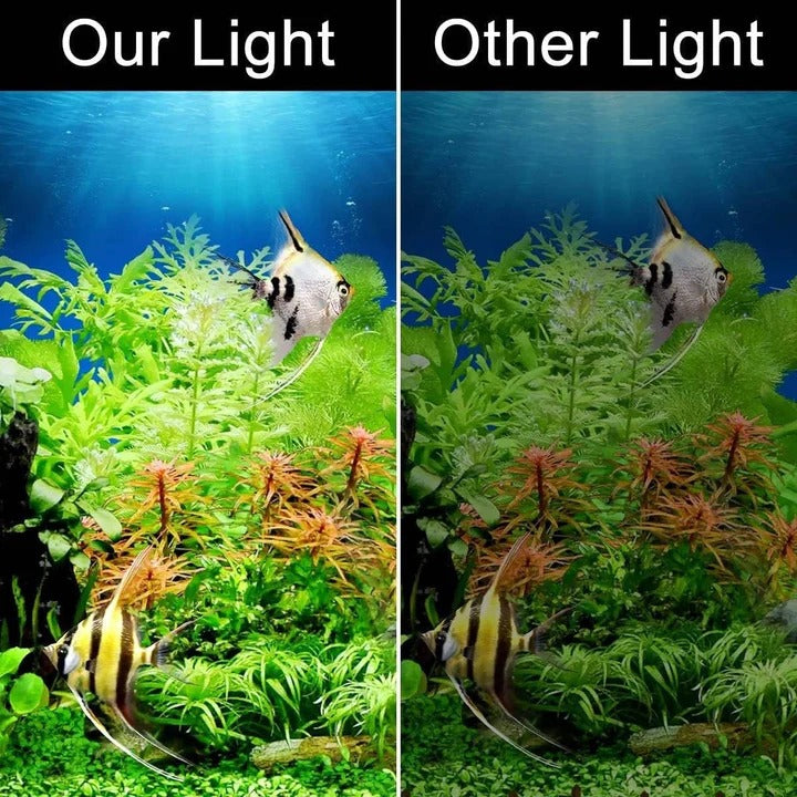Slim LED Light for Aquatic Plants and Fish Tank Use