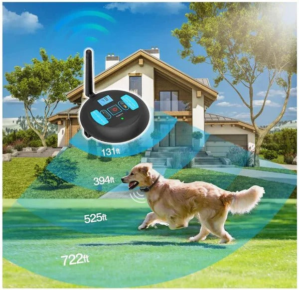 Dual Wireless Boundary and Remote Outdoor Sneaker