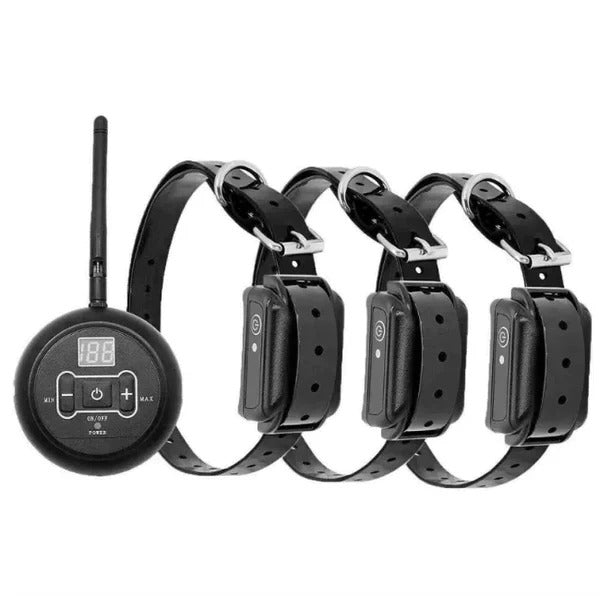 Dual Wireless Boundary and Remote Outdoor Sneaker