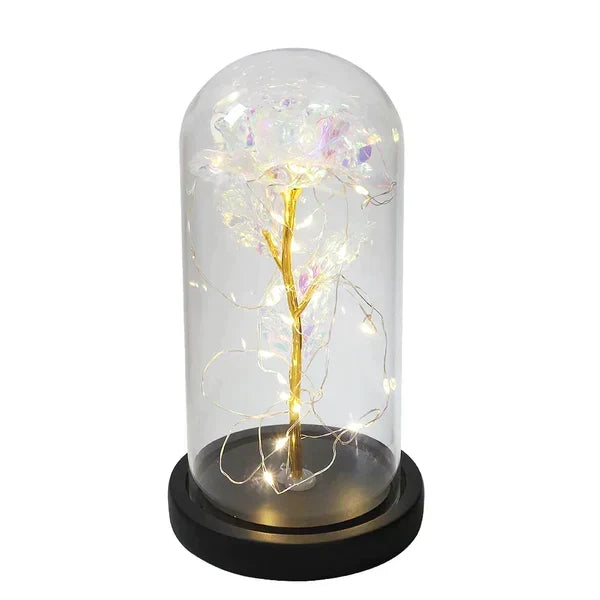 Preserved Rose with LED Dome Display and Battery Power