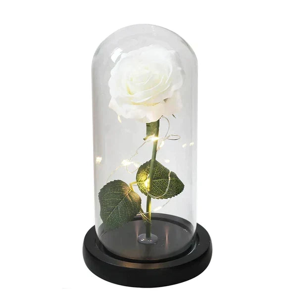 Preserved Rose with LED Dome Display and Battery Power