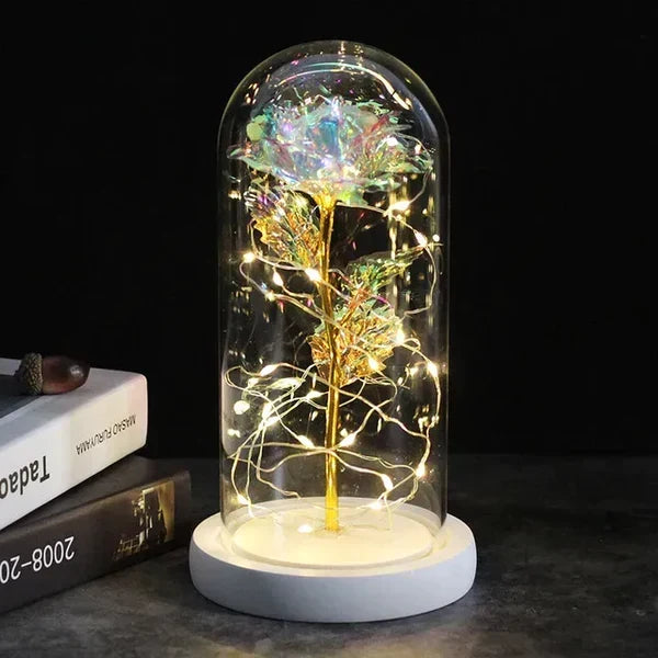 Preserved Rose with LED Dome Display and Battery Power